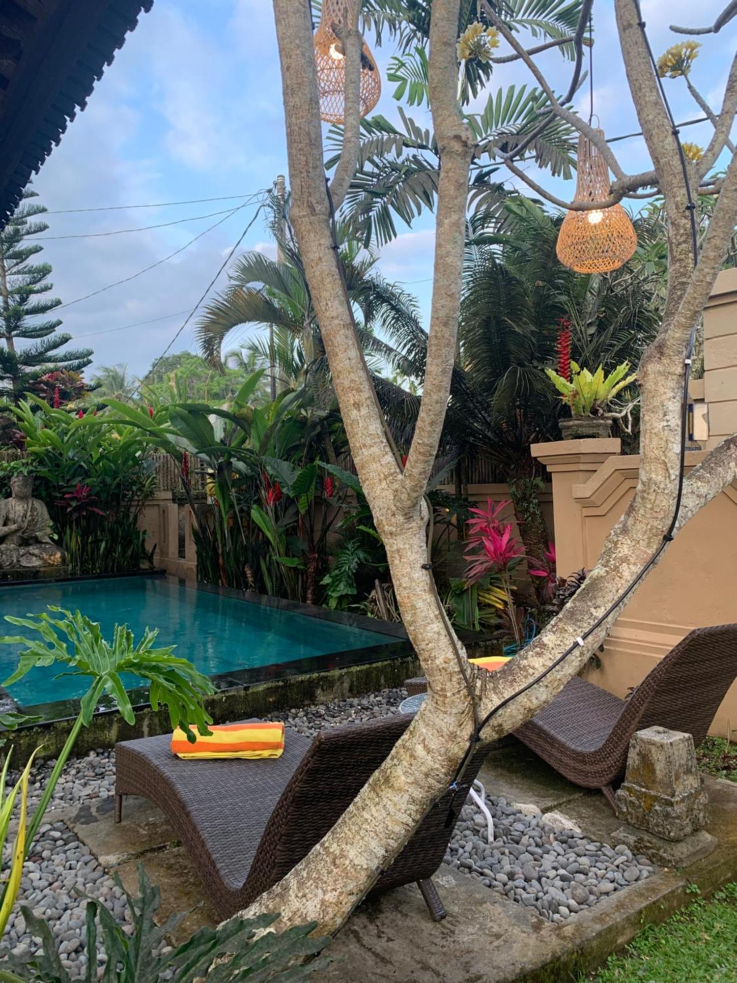 Villa Mangku In Ricefield Ubud Eksteriør bilde
